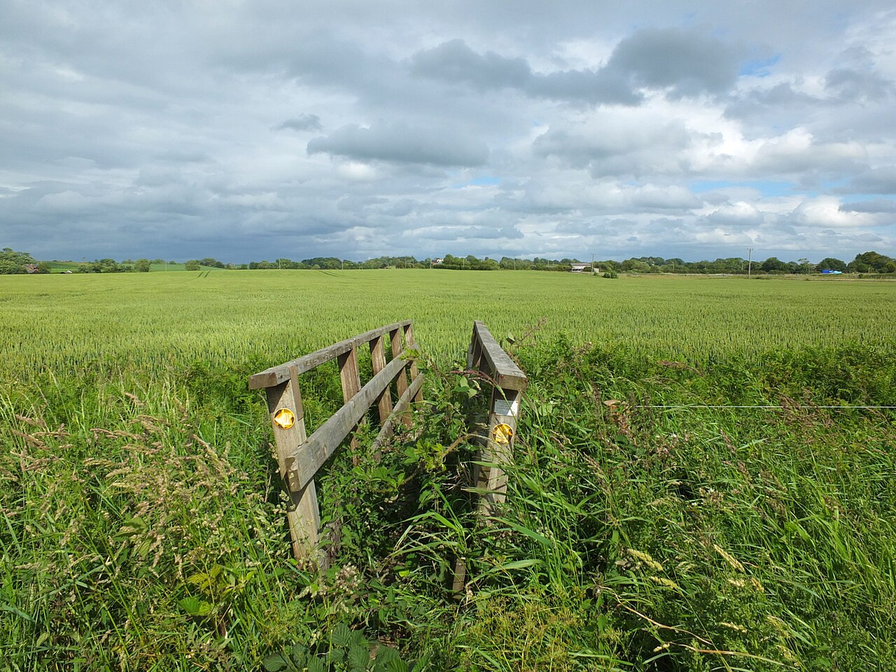 Gary Walsh